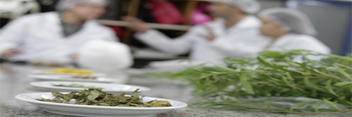 FITOTERAPIA FITOTERAPIA